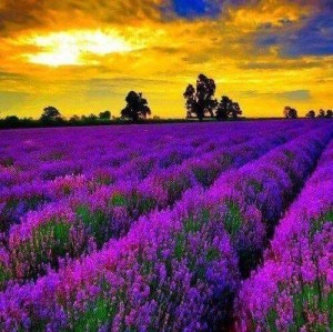 De Verano y inicio curso SOLES 002