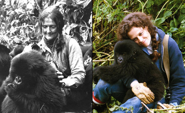 Dian-Fossey
